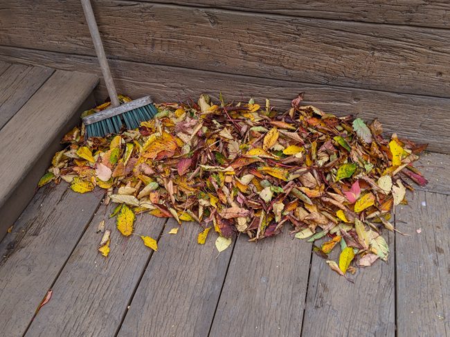 Leaves on decking can cause standing water