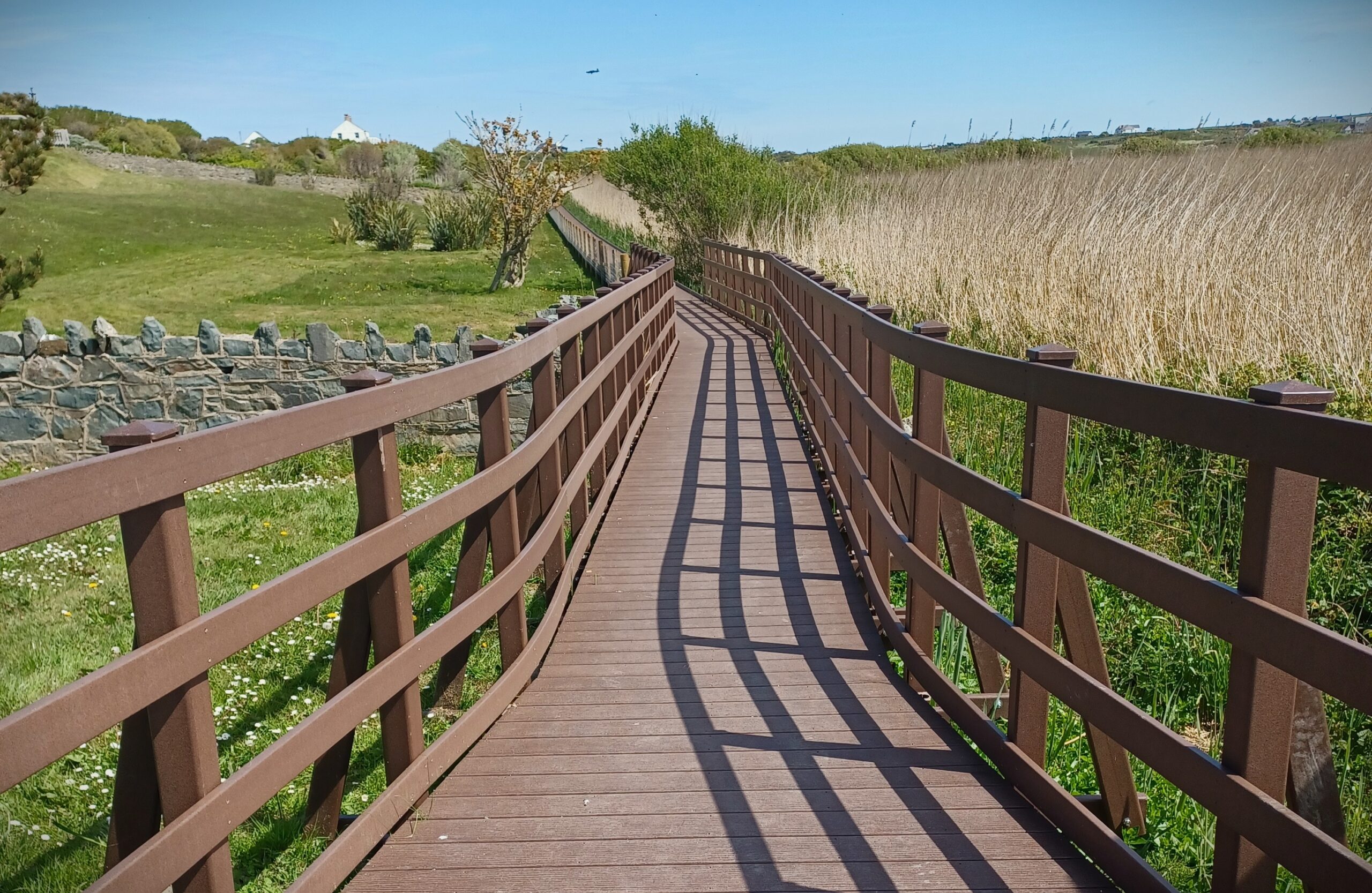 Reinstating the Sustainable Llyn Maelog SSSI Boardwalk in Anglesey